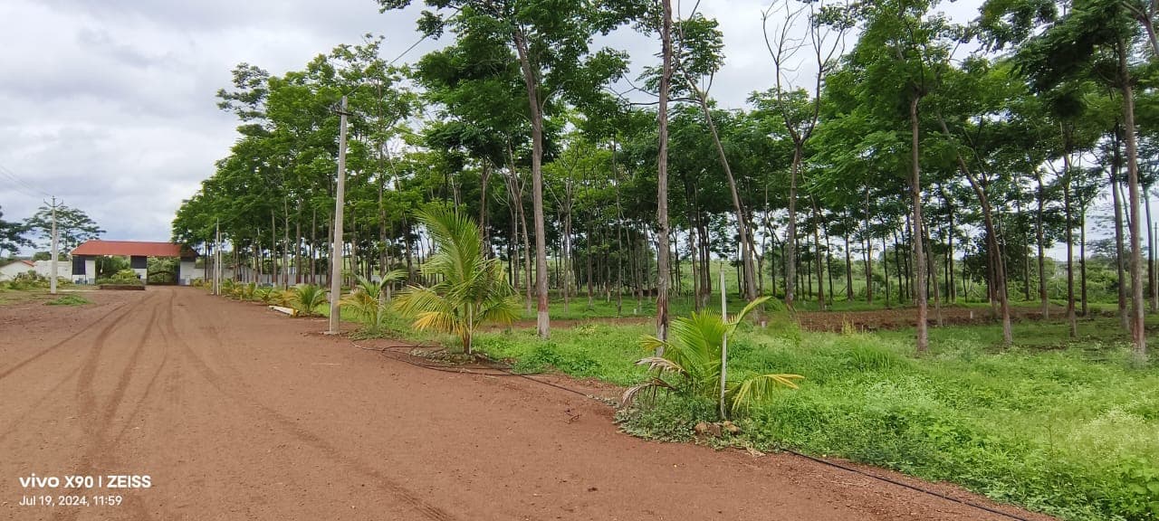 Bliss Bilva Green Spaces