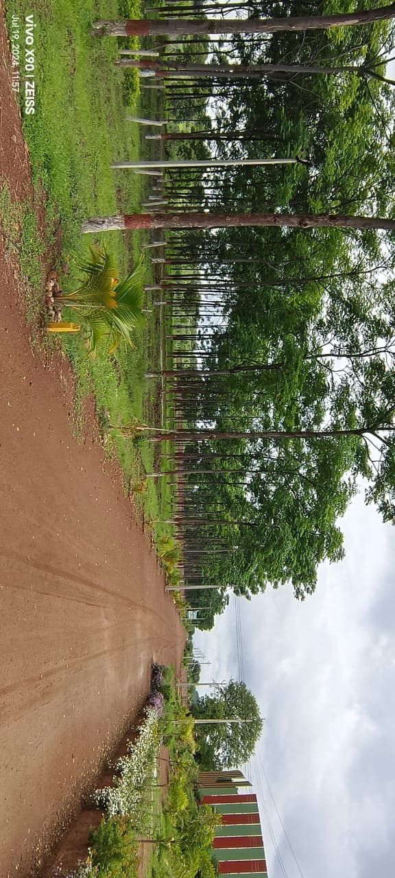 Bliss Bilva Farmstay Facility